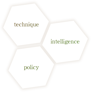 technique intelligence policy